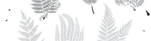 Fern Topper